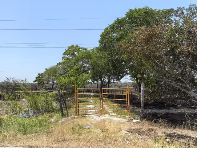 Campesinos exigen solución ante abandono energético en Sabancuy