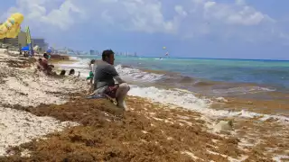 Vacaciones de verano: ¿Qué hacer en Cancún si tu playa favorita tiene sargazo?