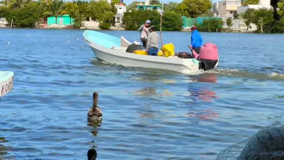 En Isla Arena, Calkiní, denuncian depredación con trampas peligrosas