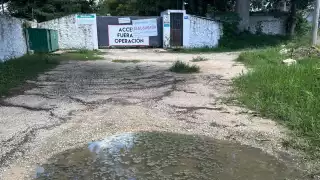 Granjas porcícolas en Yucatán: De motor económico a amenaza ambiental 