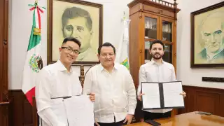 Empresa global de  paneles solares desea  invertir en Yucatán