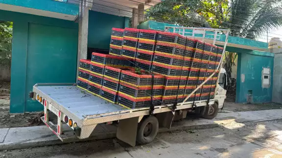 Un camión transportador de cajas de pollos se impactó contra la fachada de un domicilio en la colonia San Nicolás