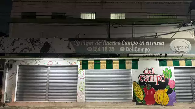 Al llegar, Protección Civil verificó que el humo provenía de una fumigación no reportada