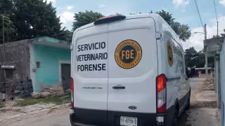 Hombre entra a una casa y mata a una perrita en Halachó; ahora enfrenta juicio por crueldad animal