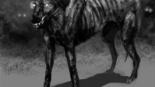 En Valladolid se hace presente por las madrugadas con aullidos, como si se tratara de una persona imitando un perro