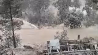 Las fuertes nevadas afectaron comunidades de Guanaceví y Tamazula. Foto: Captura de pantalla