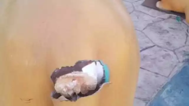 La Comuna rentó dichas figuras para el mes decembrino