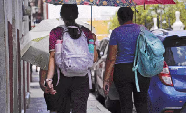 Docentes de todos los niveles consideran que es un error esperar hasta el próximo ciclo escolar