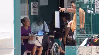 Candelaria, Escárcega y Hopelchén, focos rojos de miasis en Campeche