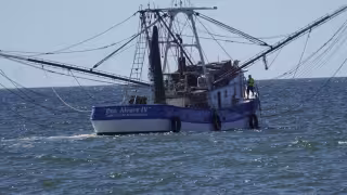 Pescadores de altura inician desarme de embarcaciones en Campeche