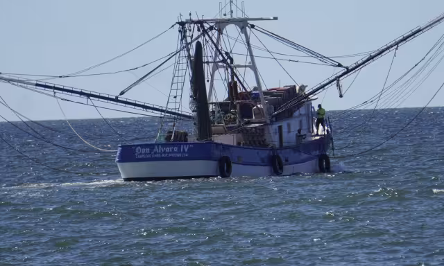 Veda del camarón dejará a 476 pescadores sin actividad