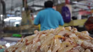 Exportación de camarón de Campeche a EU se desploma 80%