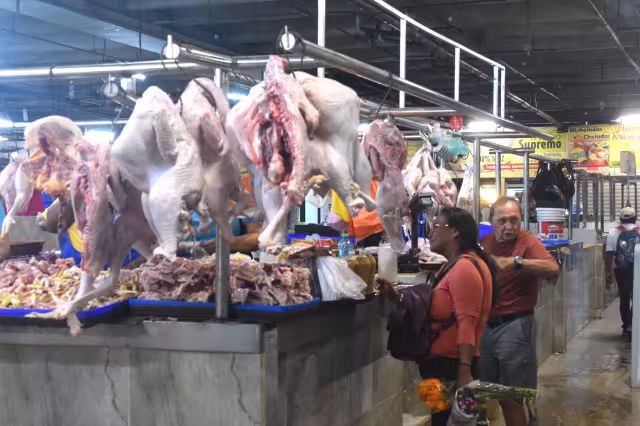 Pibes impulsan la venta  de carne de cerdo y pollo