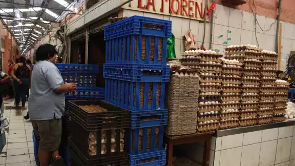 El precio de la proteína dorada registra un aumento significativo: alcanza hasta 100 pesos por reja