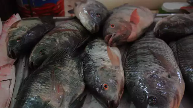 Comerciantes del Lucas de Gálvez prevén un aumento de hasta el 15 por ciento en la actividad