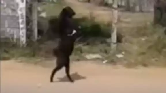 FOTO: Captura de pantalla