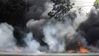 Servicios por incendios en Quintana Roo han aumentado un 24%; supera cifras de 2023