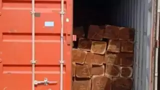 De los contenedores revisados, 25 fueron asegurados