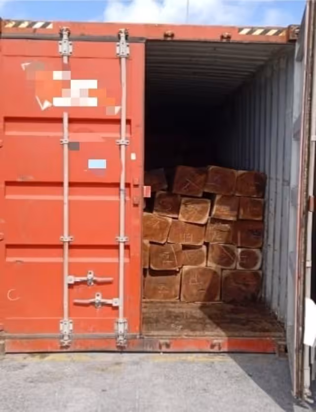 De los contenedores revisados, 25 fueron asegurados