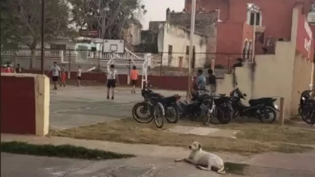 Foto: Ayuntamiento de Muna