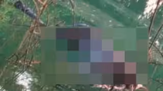 Localizan cuerpo sin vida y en avanzado estado de putrefacción en zona del Río Champotón en la localidad de El Zapote