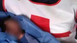 Recién nacidos abandonados en Quintana Roo se encuentran en proceso de adopción