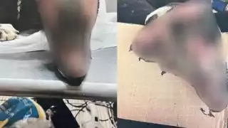 Las mujeres quedaron a disposición del Ministerio Público