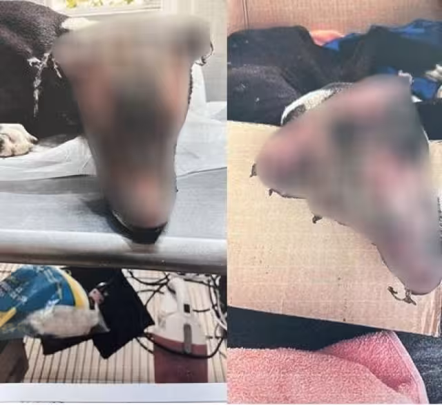 Las mujeres quedaron a disposición del Ministerio Público