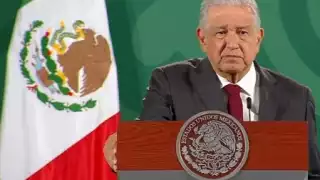 "¿Cuánto tiempo lleva reunir los datos para otorgar el registro o no?, dijo desde Palacio Nacional