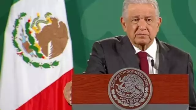 "¿Cuánto tiempo lleva reunir los datos para otorgar el registro o no?, dijo desde Palacio Nacional