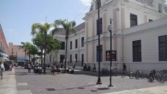 A pesar de la señalética, turistas creen que son aparatos para agilizar la movilidad de los peatones A pesar de la señalética, turistas creen que son aparatos para agilizar la movilidad de los peatones