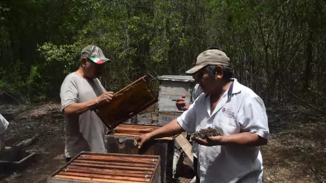 El Gobernador anuncia medidas para evitar más ecocidios como el que ocurrió en Nohalal
