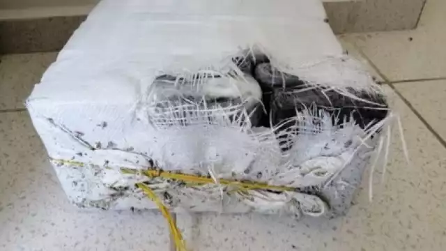 La Fiscalía de Campeche junto a la FGR ya realizan un operativo en busca de los responsables