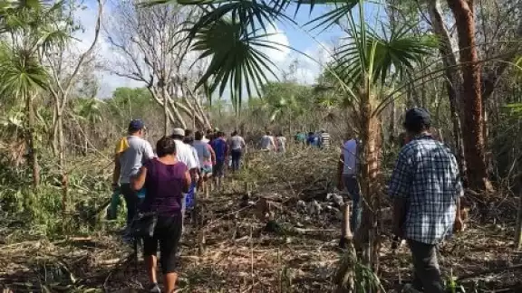 Este delito amerita hasta seis años de prisión y 250 días de multa Este delito amerita hasta seis años de prisión y 250 días de multa