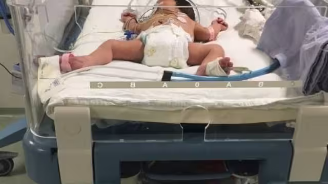 Los bebés tienen síntomas como dolor, tos, fiebre mayor a 39 grados e irritación de garganta; otros son diarrea y vómito