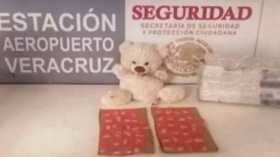 El aseguramiento fue realizado gracias a la detección oportuna por parte de los binomios caninos