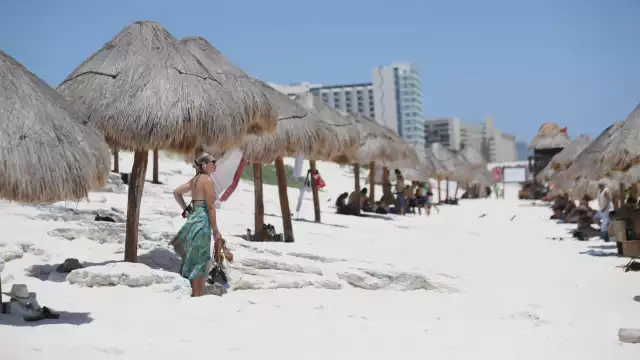 Sargazo 2025 en Q. Roo: Temporada de macroalga entra a su etapa final con disminución en recales