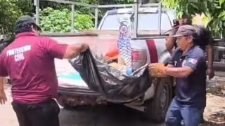 Rescatan a perro infestado de gusano barrenador en José María Morelos