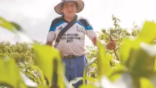 Campesinos de Chumayel a la espera de las lluvias para sembrar