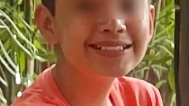 El menor falleció tras un grave accidente en el parque