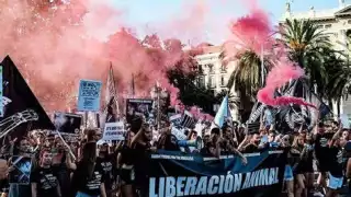 Marcha por los derechos de los animales