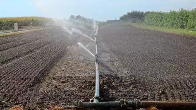 En el rancho "Las Tres Princesas" de Quintana Roo implementan sistema de riego.