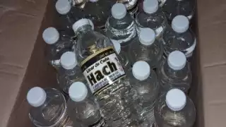 Dos predios fueron los cateados en el municipio de Calkiní