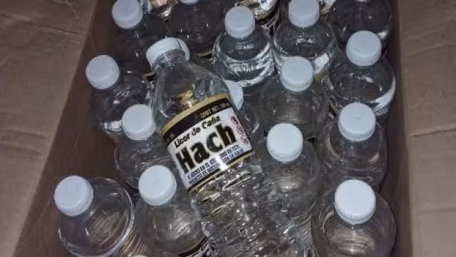 Dos predios fueron los cateados en el municipio de Calkiní