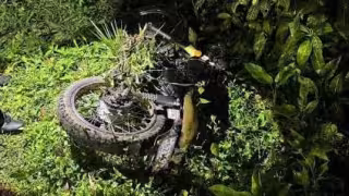 Tragedia doble en Chemax: motociclista derrapa en la maleza y es mordido por una serpiente venenosa