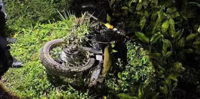 Motociclista es atacado por una cuatro narices después de derrapar en la maleza