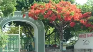 Autoridades desalojan juegos mecánicos, pero las familias cancunenses se quedan con sus recuerdos