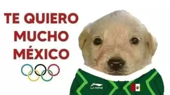 El meme se ha utilizado para apoyar a todos los deportistas en sus disciplinas, así como al país en general, como en el caso de la Selección Mexicana de Fútbol