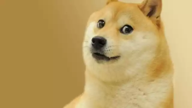 Seis años atrás, Facebook nos regaló una de las expresiones que hoy en día son más utilizadas para referirse a los amigos peludos de cuatro patas