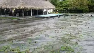 La Laguna de Bacalar aún no recupera sus siete colores